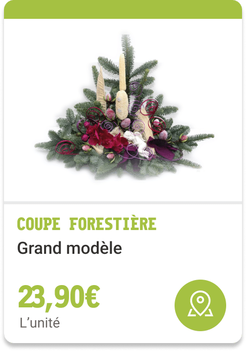 10- Coupe Forestière - grand